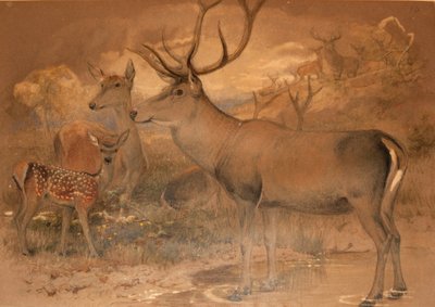 Persian Deer by Joseph Wolf